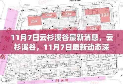 云杉溪谷最新动态深度评测,11月7日最新消息一览