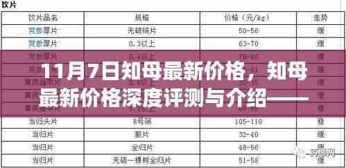 知母最新价格深度解析,市场洞察与评测——11月7日报告