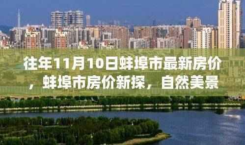 往年11月蚌埠市最新房价揭秘,自然美景之旅,探寻内心宁静与平和的居所