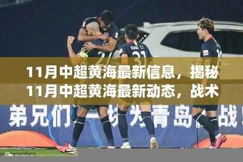 揭秘,中超黄海最新动态与战术调整,球员动态及未来展望(11月最新信息)