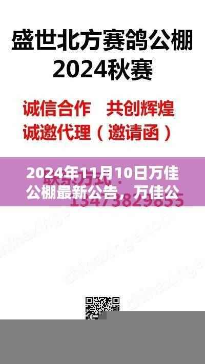 万佳公棚最新公告详解,关于最新公告的资讯与解读(日期,XXXX年XX月XX日)