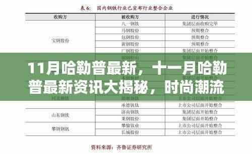 十一月哈勒普最新动态,时尚潮流与实用攻略一网打尽