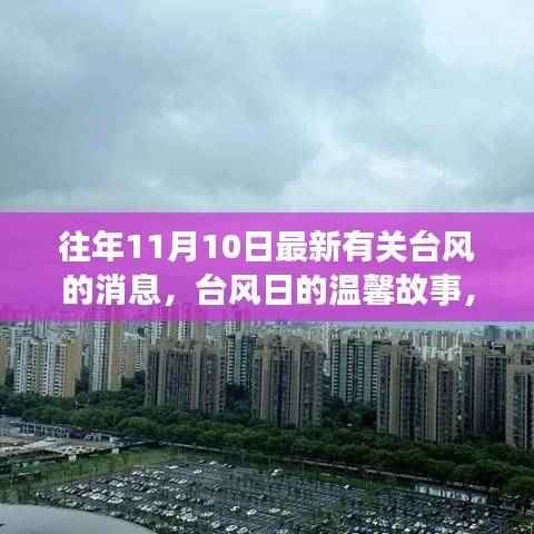 台风的温馨故事,家庭与风的共舞日常
