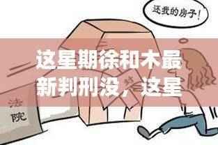 徐和木最新判刑情况,法律审视与个人立场探讨