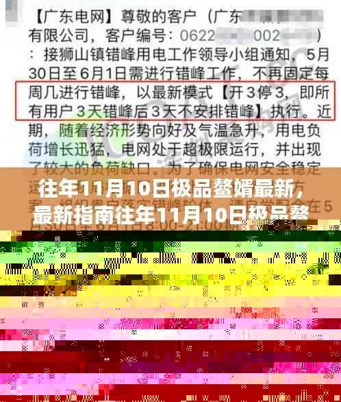 往年11月10日极品鳌婿全方位指南,从新手到精英的步骤解析