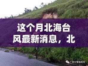 北海台风最新动态更新,本月台风活动概览