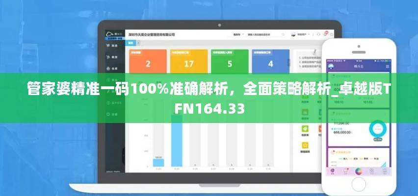 管家婆精准一码100%准确解析，全面策略解析_卓越版TFN164.33