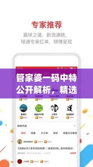 管家婆一码中特公开解析,精选资料解读_WJF815.14版普及