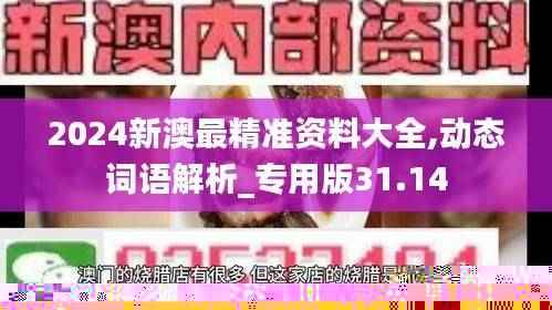 2024新澳最精准资料大全,动态词语解析_专用版31.14