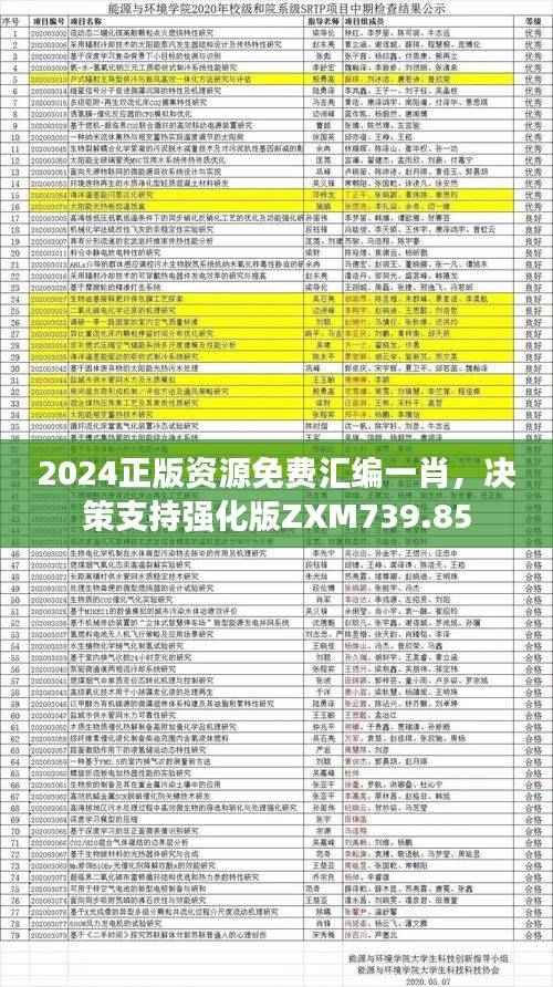 2024正版资源免费汇编一肖,决策支持强化版ZXM739.85