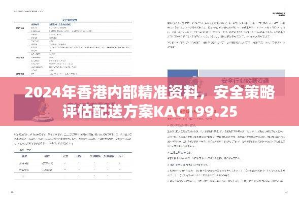 2024年香港内部精准资料，安全策略评估配送方案KAC199.25
