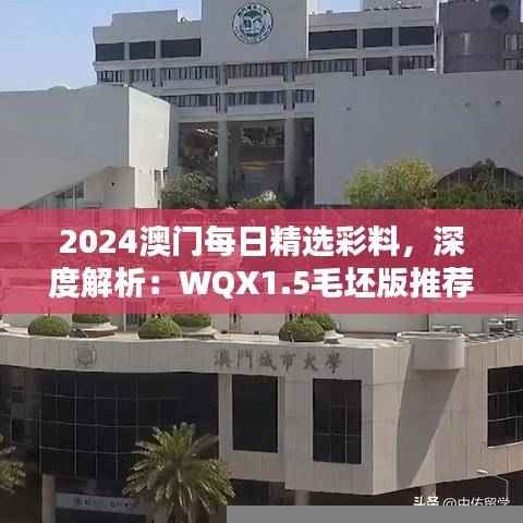 2024澳门每日精选彩料，深度解析：WQX1.5毛坯版推荐