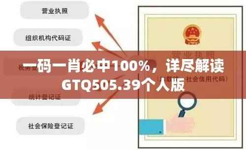 一码一肖必中100%,详尽解读GTQ505.39个人版