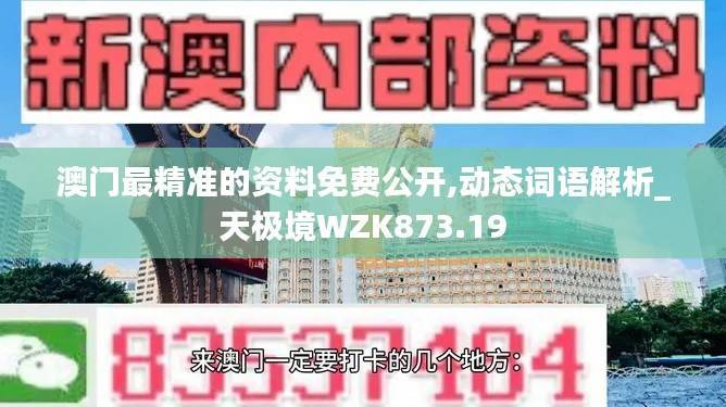 澳门最精准的资料免费公开,动态词语解析_天极境WZK873.19