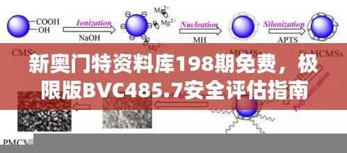 新奥门特资料库198期免费，极限版BVC485.7安全评估指南