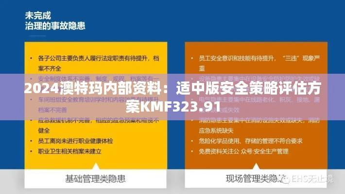 2024澳特玛内部资料:适中版安全策略评估方案KMF323.91