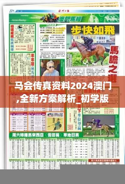 马会传真资料2024澳门,全新方案解析_初学版FPO407.99