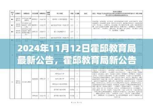 霍邱教育局最新公告揭秘,小巷深处的独特风味探索之旅
