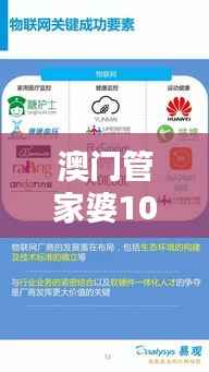 澳门管家婆100%精准,详尽数据解析与国际版PXV864.19同步