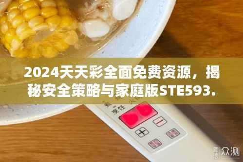 2024天天彩全面免费资源,揭秘安全策略与家庭版STE593.28防护方案