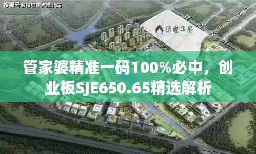 管家婆精准一码100%必中,创业板SJE650.65精选解析