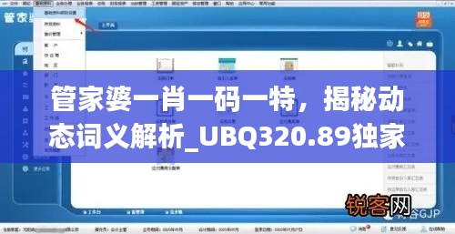 管家婆一肖一码一特,揭秘动态词义解析_UBQ320.89独家版