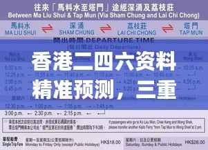 香港二四六资料精准预测，三重保障详规全新诠释_特供版VUB101.81