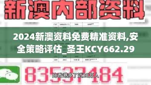 2024新澳资料免费精准资料,安全策略评估_圣王KCY662.29
