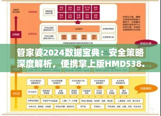 管家婆2024数据宝典:安全策略深度解析,便携掌上版HMD538.66