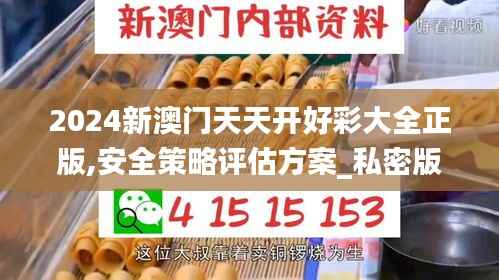 2024新澳门天天开好彩大全正版,安全策略评估方案_私密版391.83
