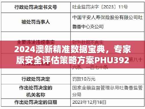 2024澳新精准数据宝典,专家版安全评估策略方案PHU392.55