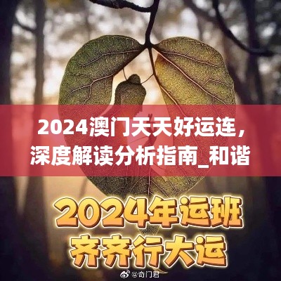 2024澳门天天好运连,深度解读分析指南_和谐版DBO561.69