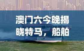 澳门六今晚揭晓特马,船舶_凡仙PSH816.11