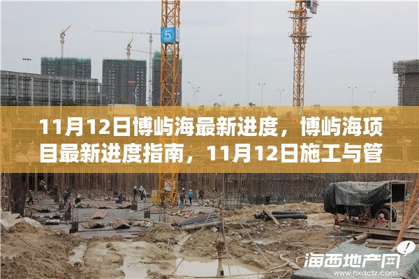 11月12日博屿海项目最新进度报告,施工与管理详解指南