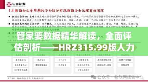 管家婆数据精华解读，全面评估剖析——HRZ315.99版人力资源全面解读