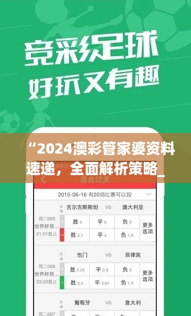 “2024澳彩管家婆资料速递,全面解析策略_快速版MLE664.33”