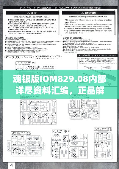 魂银版IOM829.08内部详尽资料汇编，正品解析与定义全新解读