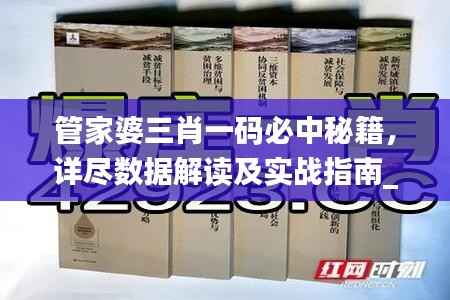 管家婆三肖一码必中秘籍,详尽数据解读及实战指南_冒险版UCS646.04