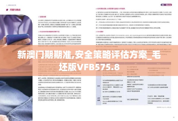 新澳门期期准,安全策略评估方案_毛坯版VFB575.8
