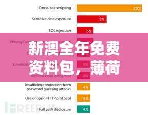 新澳全年免费资料包,薄荷版TVS838.02安全评估方案