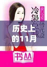 历史上的11月13日,豪门夺爱冷枭总裁之全面介绍与测评