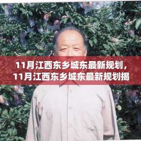 江西东乡城东未来规划揭秘,城市蓝图与发展趋势分析