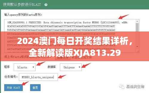 2024澳门每日开奖结果详析,全新解读版XJA813.29