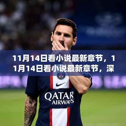 11月14日看小说最新章节,深度探讨网络小说的利弊