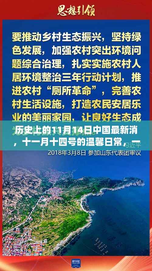 友情与陪伴的温馨日常,历史上的11月14日中国最新消息