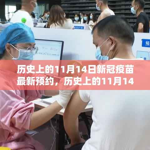 历史上的11月14日新冠疫苗预约盛况与全面评测介绍