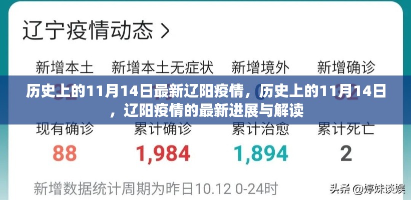 历史上的11月14日,辽阳疫情最新进展与解读