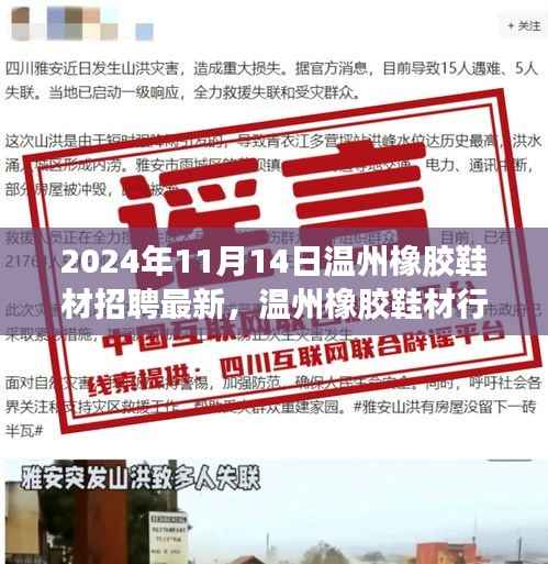 2024年温州橡胶鞋材行业招聘热潮解析，人才盛宴即将开启