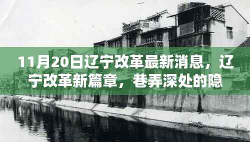 辽宁改革新篇章,巷弄深处的隐藏瑰宝揭秘,11月20日的惊喜更新