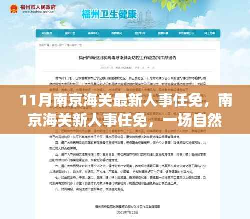 南京海关人事变动,启程寻找自然美景与内心平静的旅程